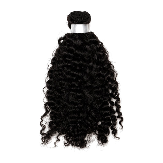 LEYE Burmese Curly